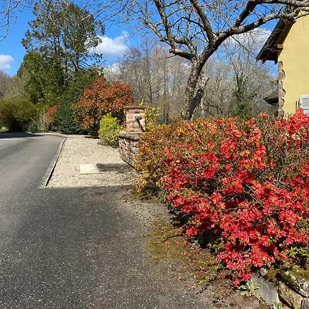Les Roches Des Fees Dieffenbach-au-Val