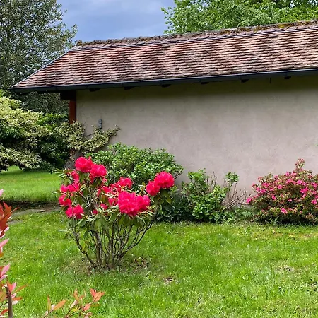 Les Roches Des Fees Dieffenbach-au-Val